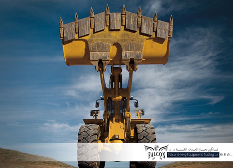 Falcon Contact Image